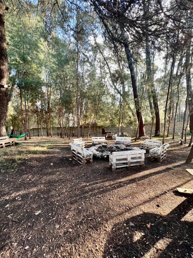 Mini-Hotel Forest Club Pizunda Exterior photo