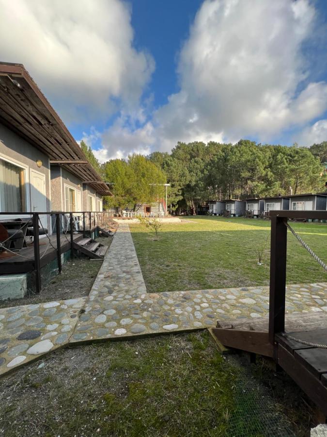 Mini-Hotel Forest Club Pizunda Exterior photo