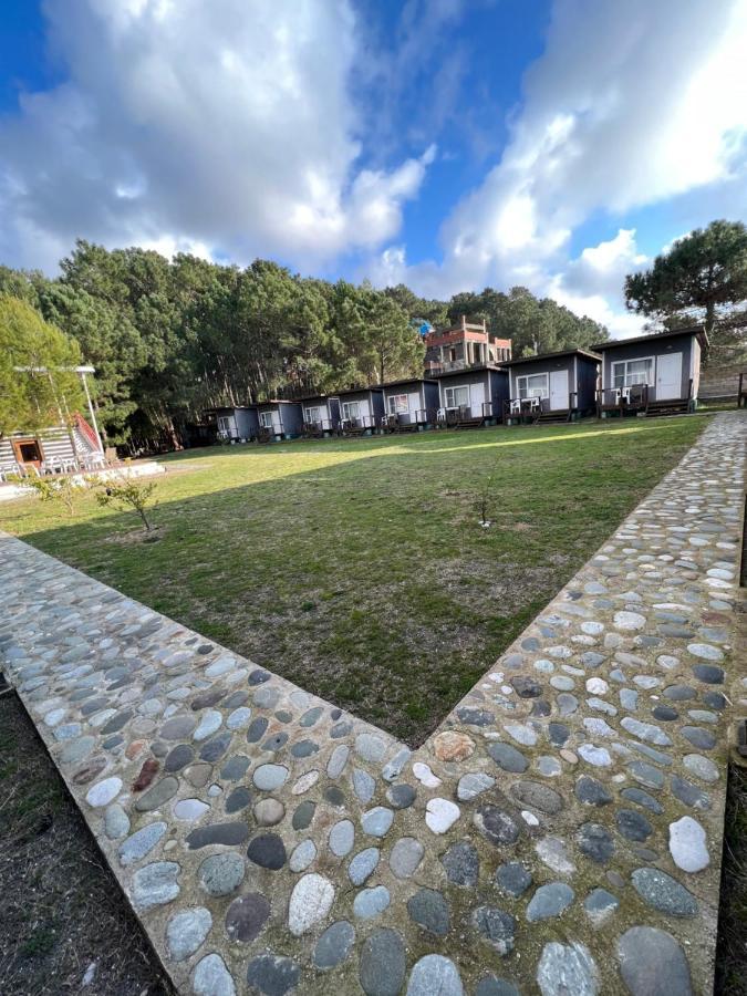 Mini-Hotel Forest Club Pizunda Exterior photo