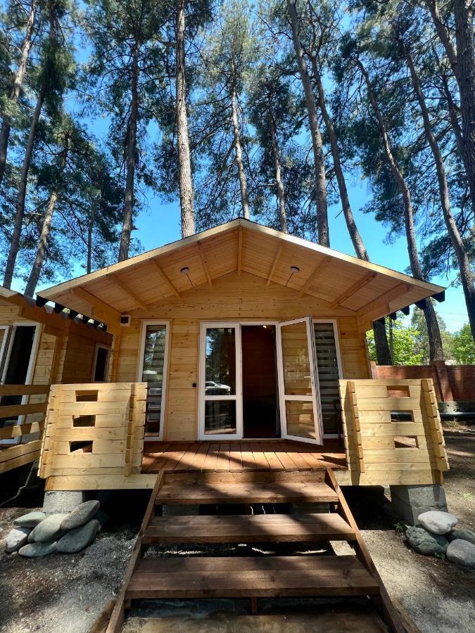 Mini-Hotel Forest Club Pizunda Exterior photo
